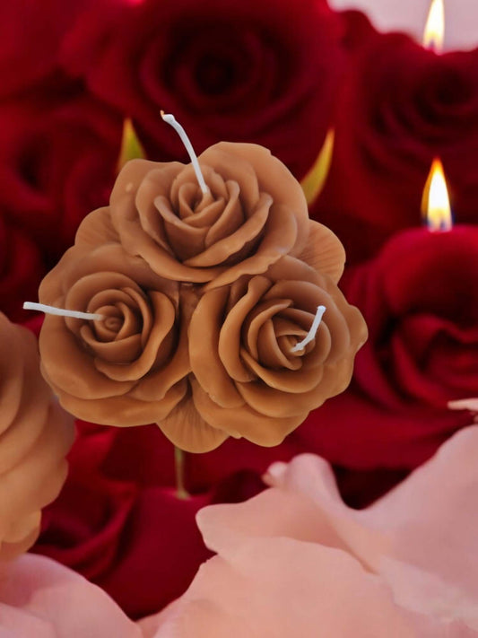 Rose lit