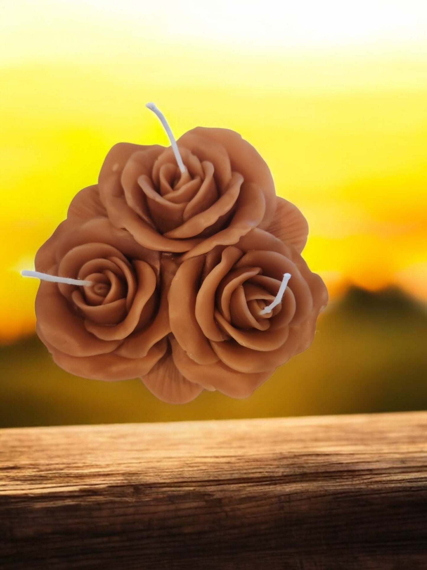 Rose lit