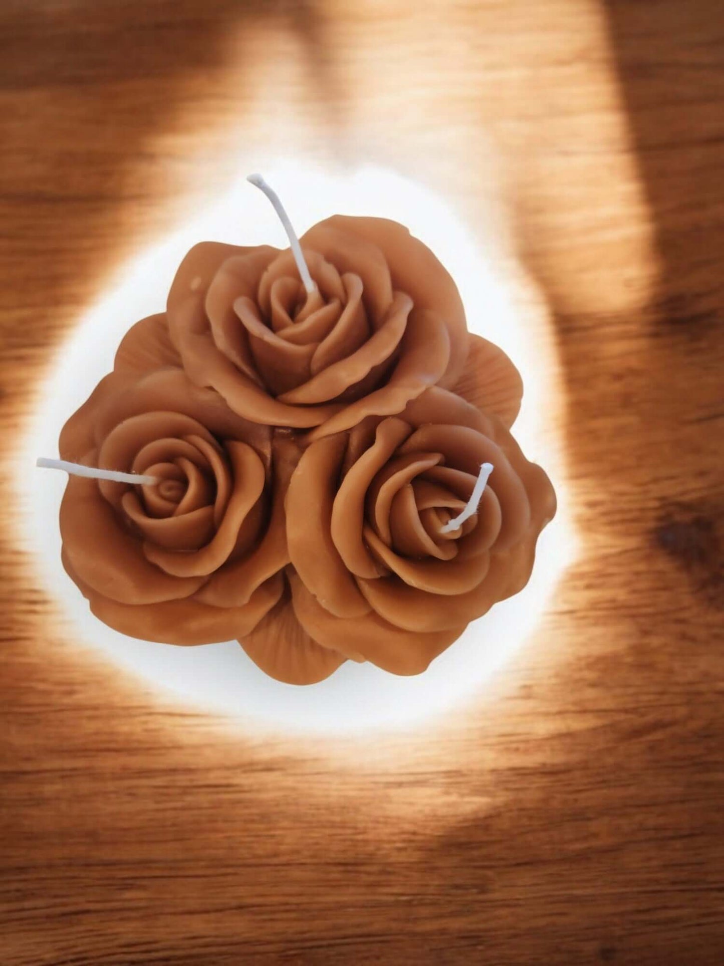 Rose lit