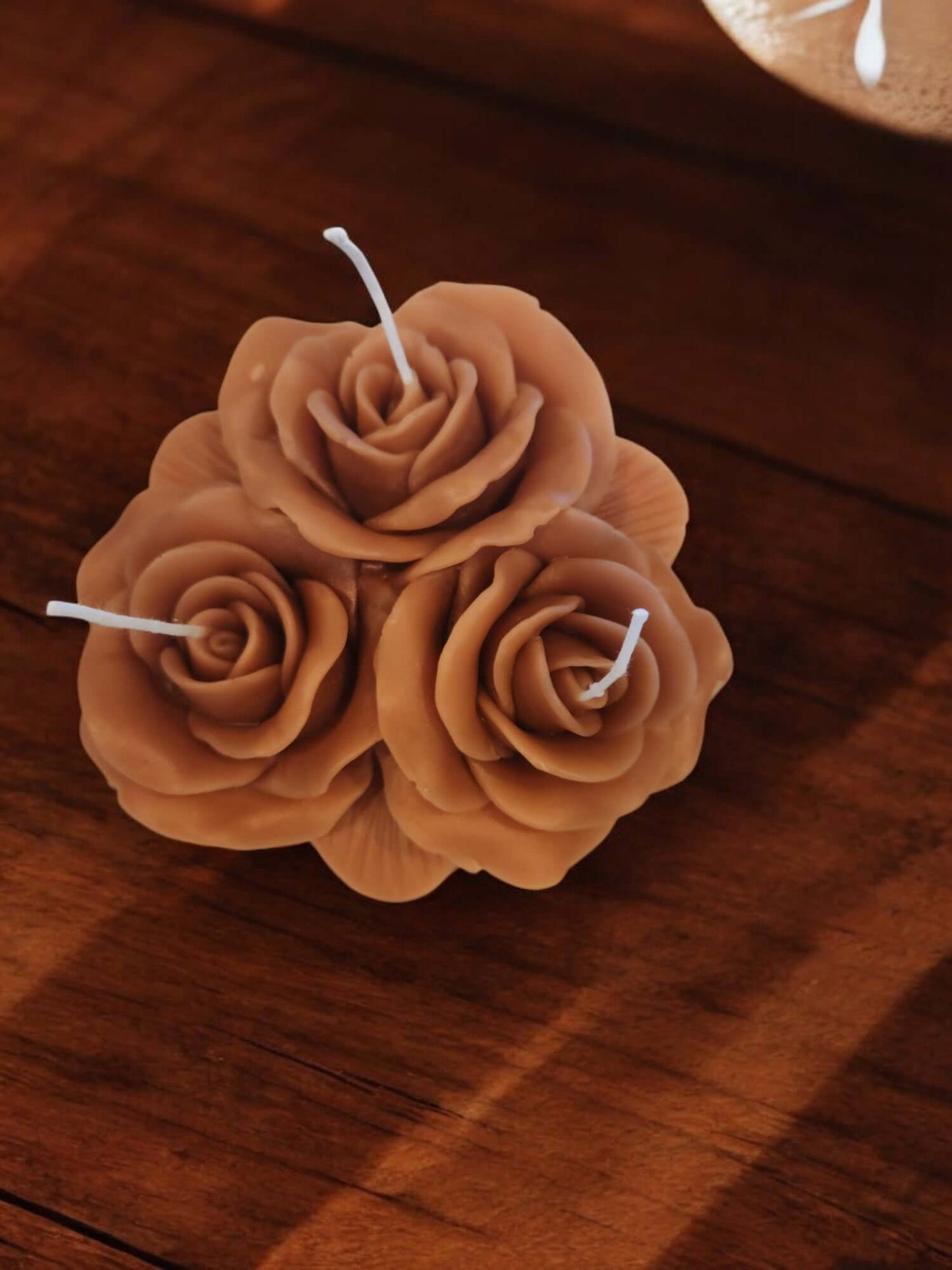 Rose lit